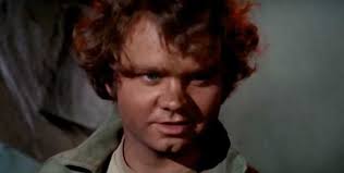 Michael Pollard, 80, Garfield-Clifton Native, Actor In Scrooged, Star Trek 