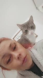 How to find a lost cat in Layton, Utah?