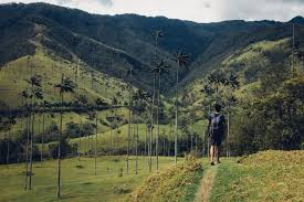 Tripadvisor has 1,693,456 reviews of colombia hotels, attractions, and restaurants making it your best colombia resource. 23 Beautiful Travel Photos From Colombia Follow Me And I Ll Show You The Real Colombia