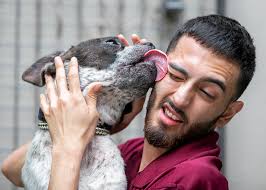 Chicago Tribune photos of the week