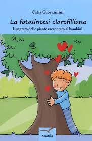La parola fotosintesi è composta da due termini: Amazon It La Fotosintesi Clorofilliana Il Segreto Delle Piante Raccontato Ai Bambini Giovannini Catia Libri