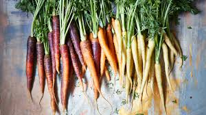 Best companion plants for carrots: herbs, flowers and veg to grow with  carrots | Gardeningetc