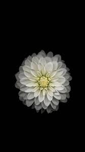 Iphone 3g Wallpapers Free By Zedge Android Wallpaper Best Iphone Wallpapers Iphone Wallpaper