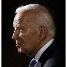 Liz Cheney/Adam Kinzinger Against Trump