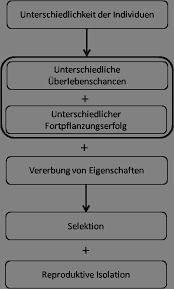 Einer unserer unerwartetsten befunde war das sehr geringe schlüpfen und überleben von konspezifischen populationen von d. Madagaskar Ist Eine Insel Im Indischen Ozean Die Vor Der Ostkuste Sudafrikas Liegt Sie Beherbergt Eine Einzigartige Tier Und Pflanzenwelt Pdf Kostenfreier Download