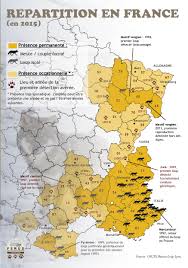 Cette carte interactive de l'islam en france recense les mosquées, salles de prière, asso cultuelles et culturelles, lieux de culte, écoles coraniques. Des Loups En Ile De France Faisons Un Point Ferus