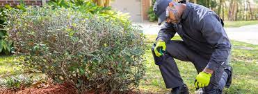Ehrlich is a pest control company that's part of the rentokil pest control brand. Ehrlich Pest Control Your Local Pest Control Expert