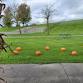 The Pumpkin Roll Down event image
