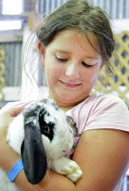 Fun, fried dough for fair season 2012