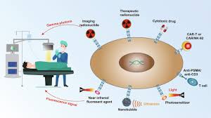 What every man should know about radiation therapy for prostate cancer. Advances In Psma Targeted Therapy For Prostate Cancer Prostate Cancer And Prostatic Diseases