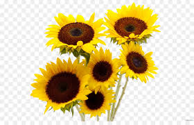 Check spelling or type a new query. Flower Bouquet