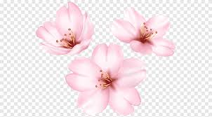 Maybe you would like to learn more about one of these? Spring Flowers Png Images Pngegg