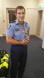 Police Officer Adopts Orphaned Joey After Its Mother Was Hit By A Car Surrogate Mom Police Officer Police Shirts