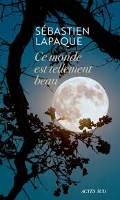 Sous le regard émerveillé de leur fils, ils dansent sur «mr. Le Premier Chapitre De Ce Monde Est Tellement Beau Le Soir Plus