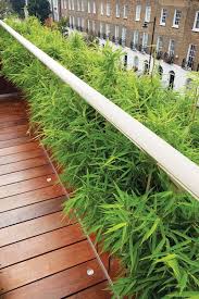 Ein Garten Auf Der Dachterrasse Modernes Design Von David Kelly Dachterrasse Gestalten Terrassengarten Gartengestaltung
