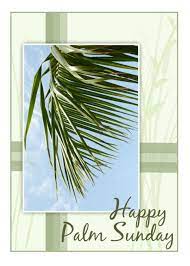It marks the first day of the holy week. Palm Sunday Palm Photo Card Ad Sponsored Sunday Palm Card Photo Palm Sunday Happy Palm Sunday Photo Cards