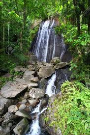 La coca falls puerto rico. La Coca Falls In The Famous El Yunque Rainforest Of Puerto Rico Stock Photo Picture And Royalty Free Image Image 8626313