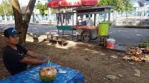 Check spelling or type a new query. Kelapa Tampuk Habang Dipakai Jadi Bahan Minyak Urut Patah Tulang Dan Keseleo Banjarmasin Post