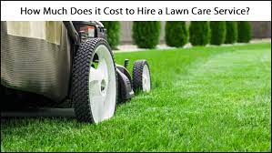 Everything that you need to know about lawn care pricing. Average Lawn Care Prices 2021 How Much Does Trugreen Lawn Care Cost