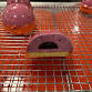Annie's Signature Sweets  CHERRY  ALMOND ENTREMETS event image