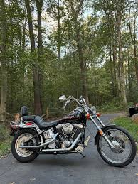 Image result for Bright Victory Red 1994 FXLR