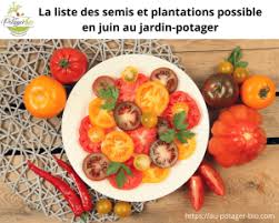 Voici un zoom sur 3 + 2 légumes à faire pousser en juin : Que Semer Et Planter Au Mois De Juin Dans Un Potager Bio