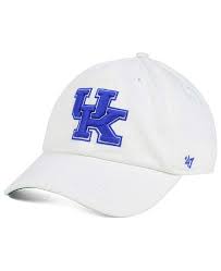 Kentucky Wildcats Franchise Fitted Cap