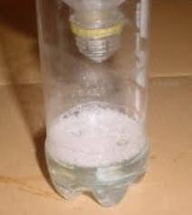 Cheap And Easy Stink Bug Soda Bottle Trap Stink Bugs Stink Bug Trap Bug Trap