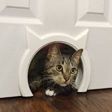 Kitty Pass Interior Cat Door Cat Door Pet Door