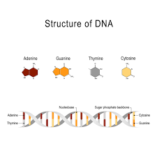 As these experimental vaccines create 'spike proteins,' vaccinated individuals 'can shed some of these there simply has not been enough time to know what brain problems and how often a brain problem demeaning, hostile or propagandistic comments, and streams not related to the storyline. Trait 55 Muscle Performance Actn3 Fitnessgenes