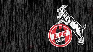 Jak informuje koelner stadtanzeiger trójka zarażonych pracowników 1. 1 Fc Koln Wallpapers Wallpaper Cave