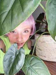 Top event planners show how to create happy spaces at home