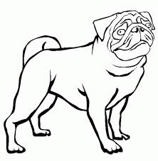 From cuddly corgis and galloping greyhounds to bearded schnauzers and coiffed shih tzus, dogs are our best friends, beloved family members―and for many dog owners, a major source of support after a stressful day. Pug Coloring Pictures For Kids And For Adults Coloring Pages Puppy Coloring Pages Coloring Pages For Kids And Adults