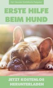 Die haustier notfallkarte zum downloaden. Erste Hilfe Beim Hund Kostenloser Ratgeber Hunde Erste Hilfe Hund Begleithund