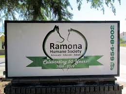 We did not find results for: Ramona Humane Society Celebrates 50th Anniversary With Luau And Logo Redesign Valley News