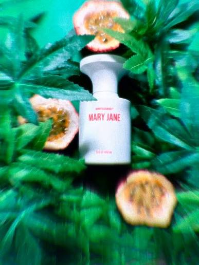 Aidan ✨ | Scent of the day Mary Jane by @borntostandout.official ✨ Notes:  Hemp essence, cannabis, frozen mint, rhubarb, grapefruit, sage essence,...  | Instagram