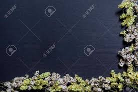Check spelling or type a new query. Partial One Corner White And Yellow Small Dried Flowers Half Frame On Black Textured Background Stock Photo Picture And Royalty Free Image Image 70183349