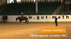 Gotland och västerbotten nominerar nooshi dadgostar. Auskunft Was Ist Westernreiten