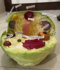 We used the animal cell directions as our main source of. A Plant Cell Made Out Of Plants Mildlyinteresting