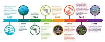 Wwf currently funds around 1,300 conservation projects globally and employs 6,000 people across the planet. History Wwf