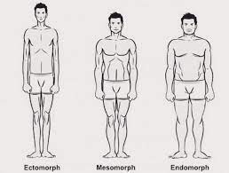 Blackman based his decisions on two factors: Do You Have The Best Bjj Style For Your Body Type Bjj World