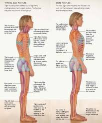 10 Exercises That Will Help To Improve Your Posture Frisyrer Korperhaltungs Ubungen Yoga Anatomie Ubungen