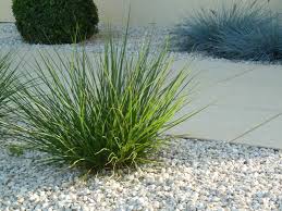 Avant Apres Amenager Un Espace Exterieur En Longueur Avec Images Amenagement Jardin Devant Maison Espaces Exterieurs Toile De Paillage