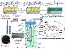 If you have a lung disease, your blood oxygen level may be lower than normal. Application Of A New Ceramic Hydrophobic Membrane For Providing Co2 In Algal Photobioreactor During Cultivation Of Arthrospira Sp Sciencedirect