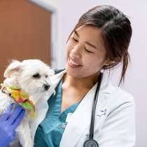 Vca animal hospitals, incorporated as vca, inc., operates more than 1000 animal hospitals in the us and canada. Vca Jobs Glassdoor