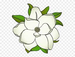 Virginia state bird and flower: State Flower Of Mississippi Magnolia Flowers Clipart Black And White Png Download 43690 Pinclipart