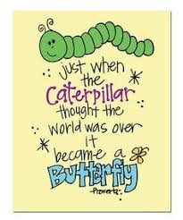 #catapillar instagram videos and photos. Caterpillar To Butterfly Quote Caterpillar Quotes Butterfly Quotes Quotes