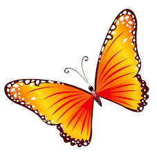 Transparent Orange Butterfly Png Clipart Butterfly Clip Art Butterfly Pictures Butterfly Drawing