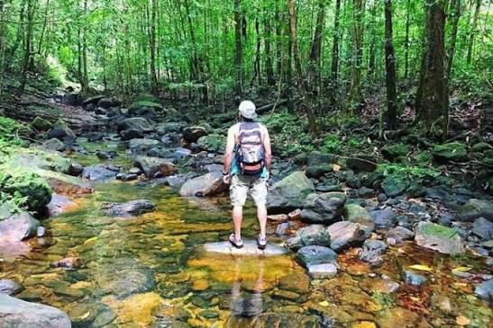 Kitulgala Forest Reserve: Explore Sri Lanka's Rainforest and Wildlife: Book  Tours & Activities at Peek.com