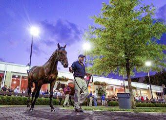 Lexington Selected Yearling Sale concludes with record average – U.S. Trotting News